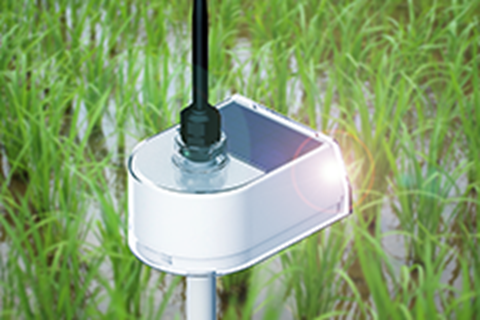 水田用水位センサーの太陽光パネルアップ画像