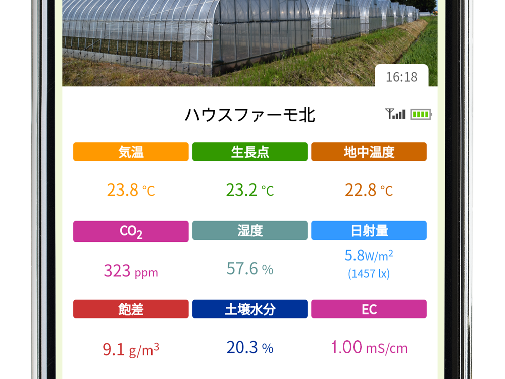 データ表示