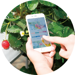 スマホのアプリに製品IDを登録する様子