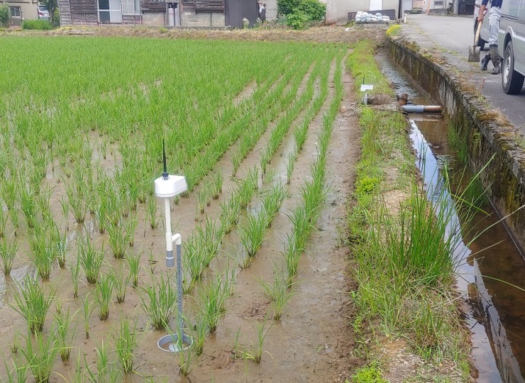水位センサー（水温付き）