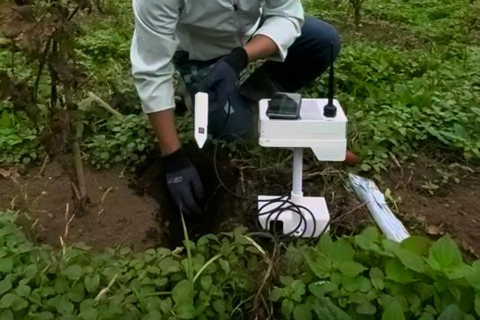 畑にセンサーを埋める様子