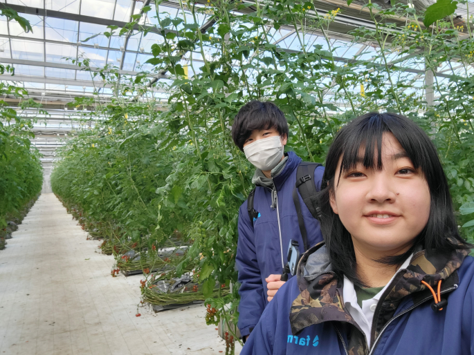 立ち上げメンバー4人全員が20代⁉非農家出身の若手トマト農家を取材