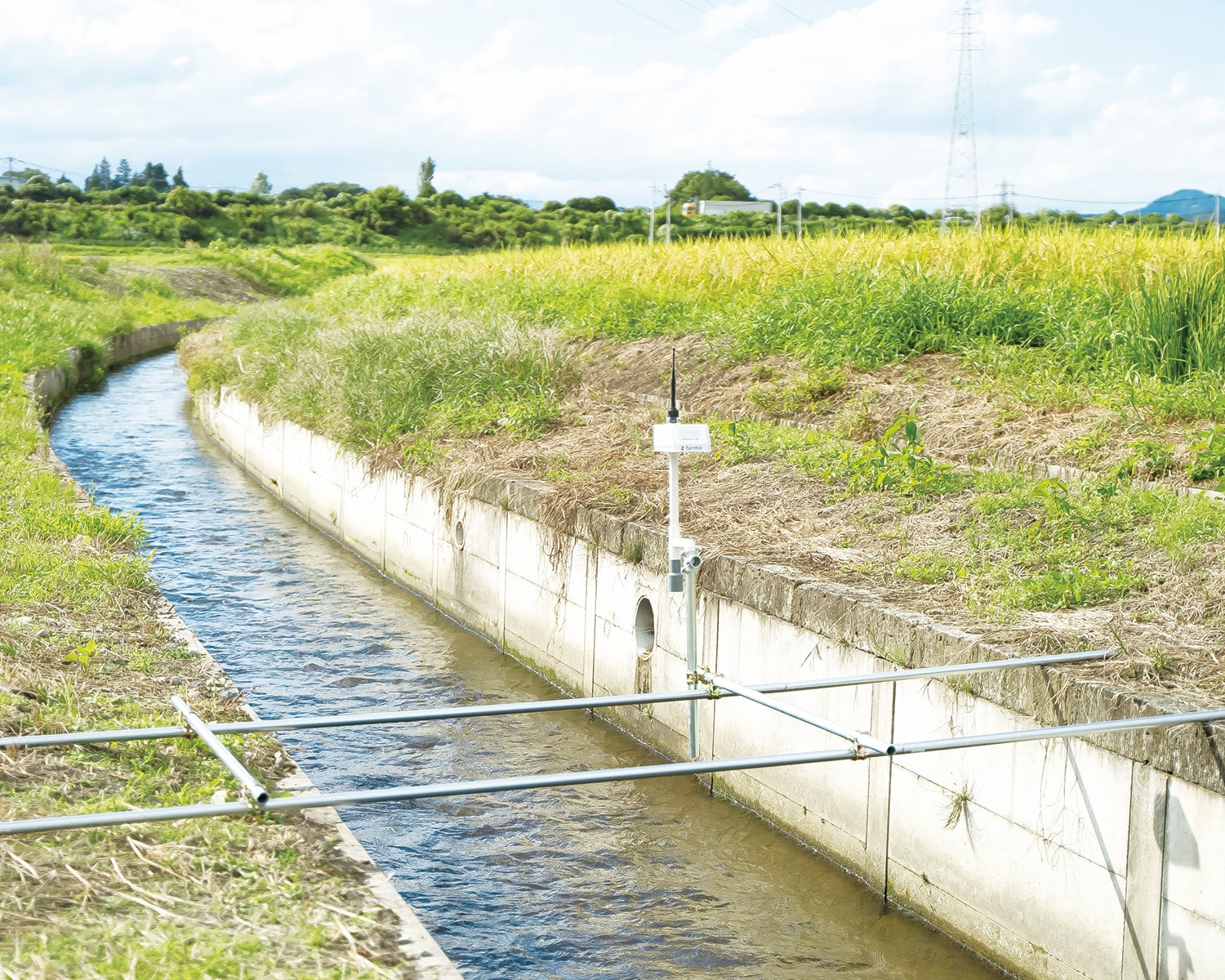 農業用水路と田園