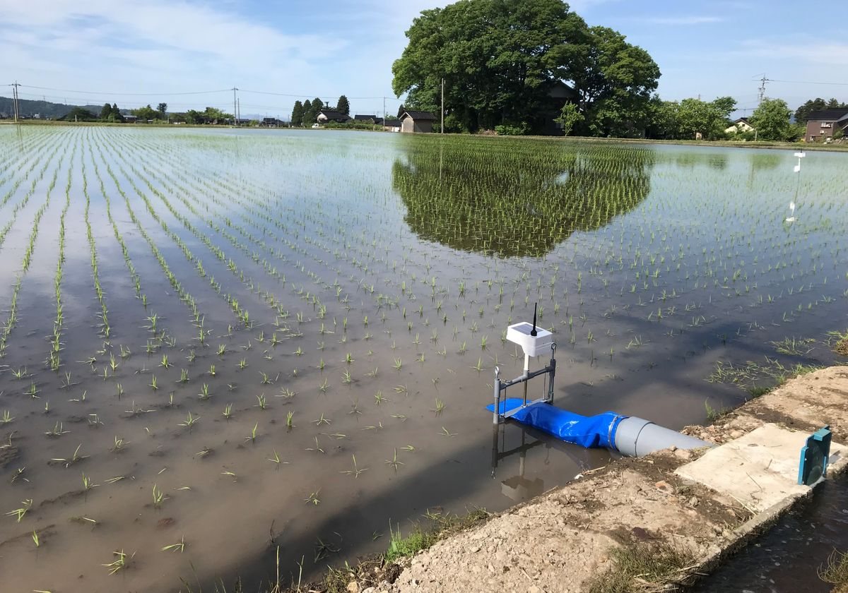 代掻き後の水田に設置した給水ゲート