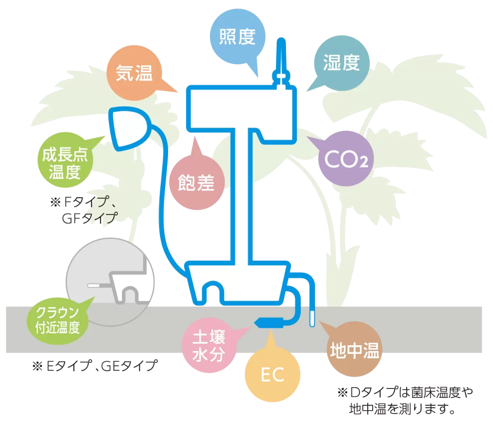 ハウスファーモの測定箇所。気温・湿度・照度・CO2・生長点温度・地中温度・土壌水分・ECなど