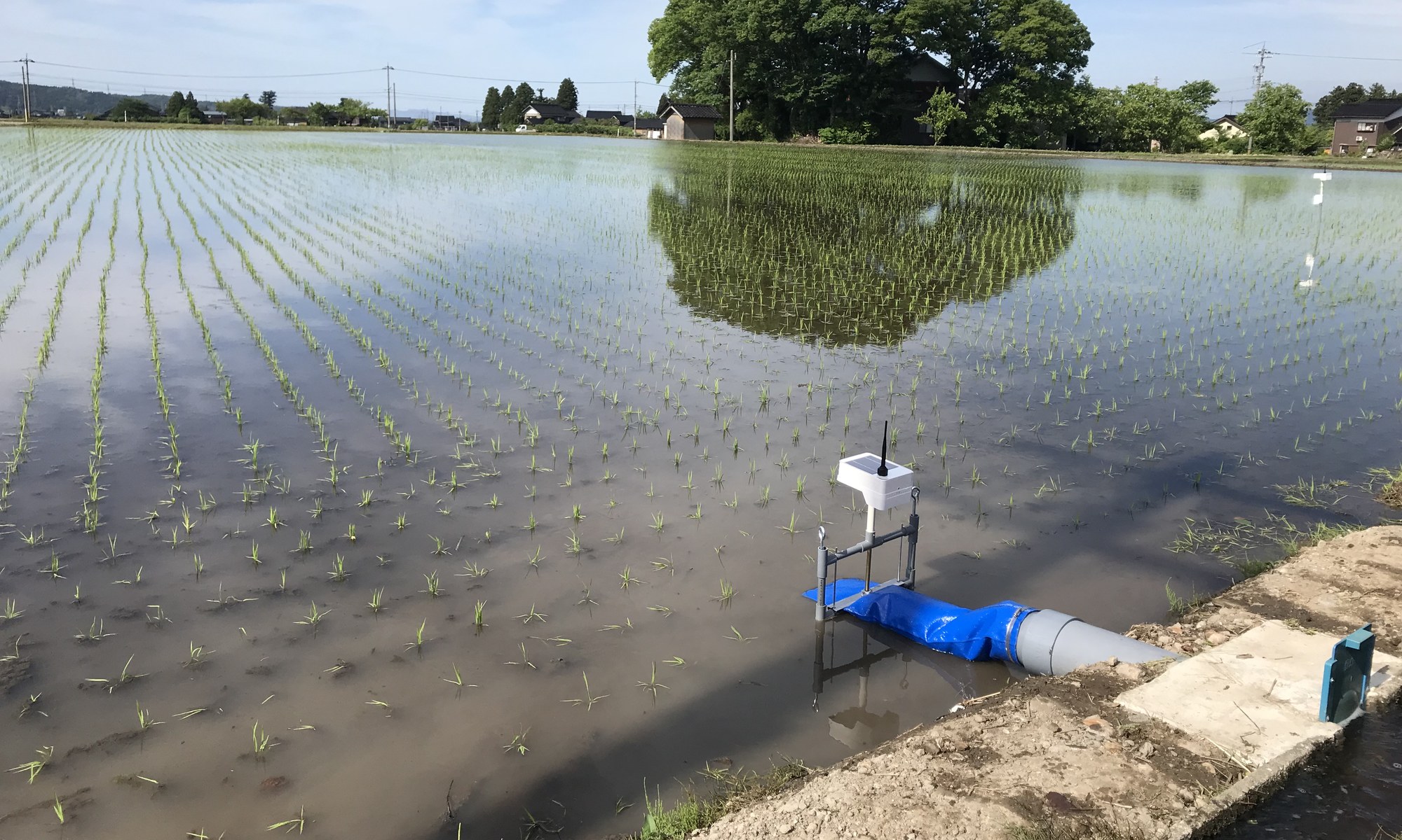 水口に設置された給水ゲートと、水の入った田んぼ